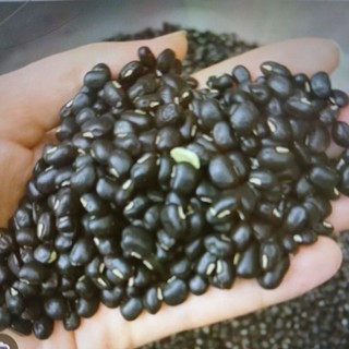 Bán sỉ 1kg Đậu Đen Xanh Lòng thơm ngon bùi bở, dùng nấu chè