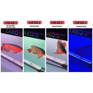 Đèn Huyết Long Zako D35X 4 Chế Độ  Chip LED RGB Độ Sáng Cao