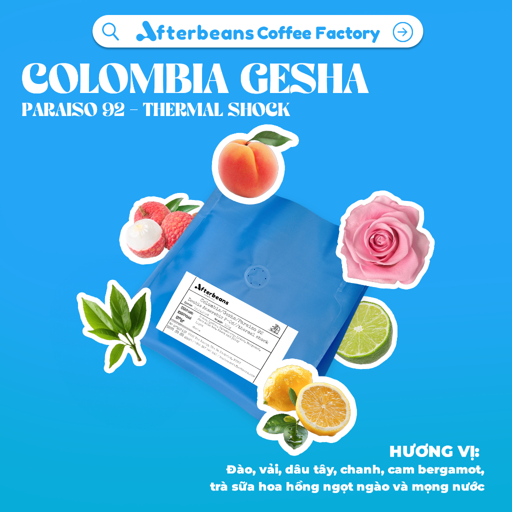 (LIMITED) COLOMBIA - Gesha Paraiso 92- Afterbeans Specialty Coffee – Peach, Lychee, Strawberry, Lemo