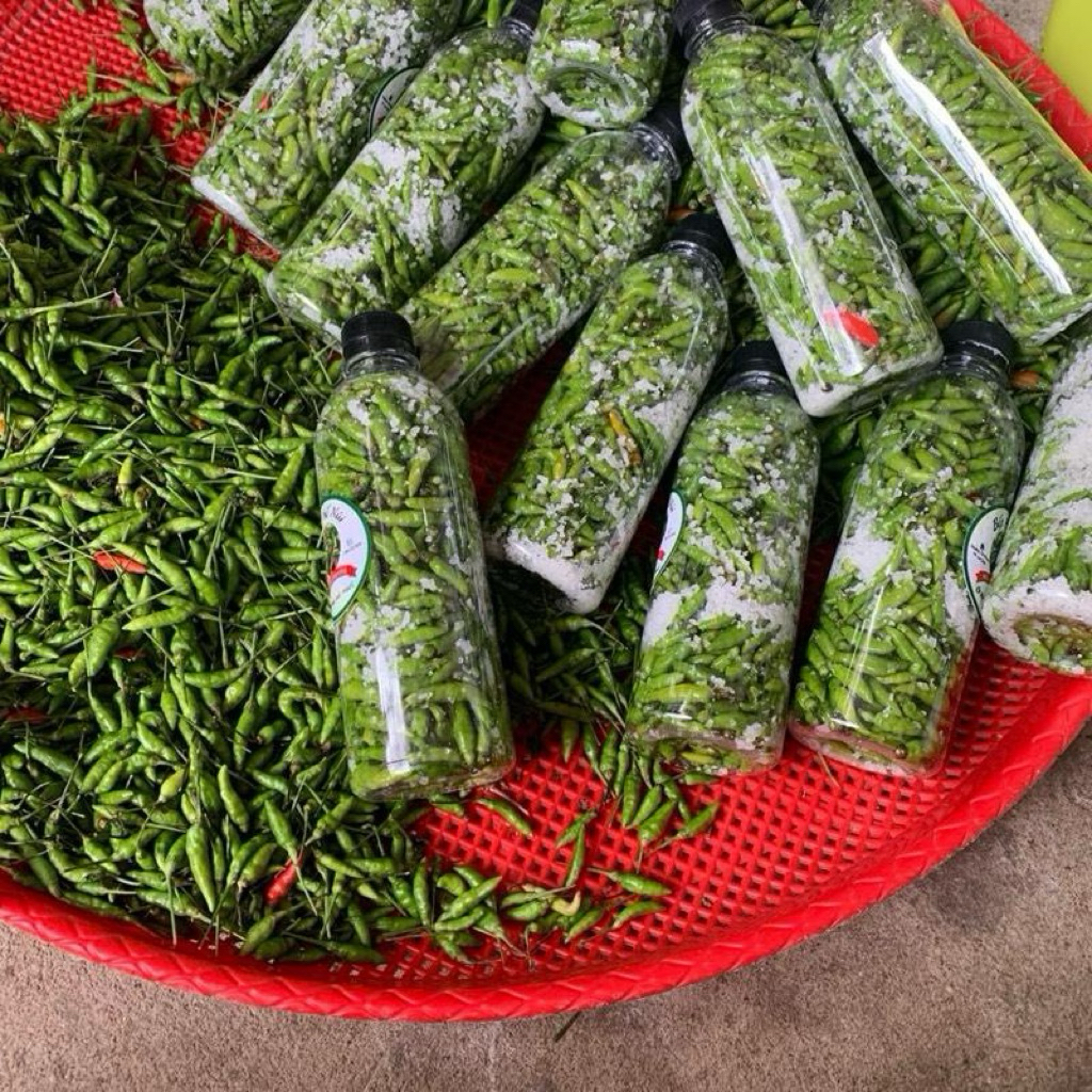 Ớt xiêm rừng tây bắc xóc muối