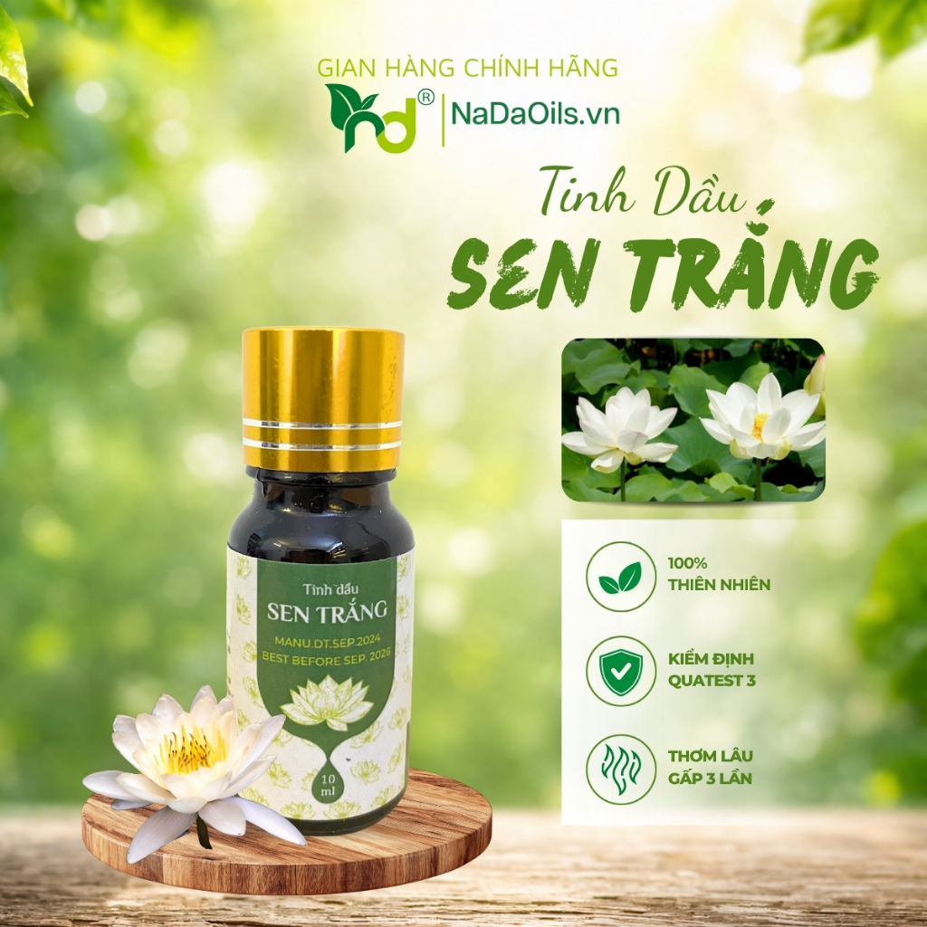 [BEST SALE] Tinh Dầu Sen Trắng Nguyên Chất Nada Oils - Giảm Stress, Ngủ Sâu, Thư Giãn Tinh Thần