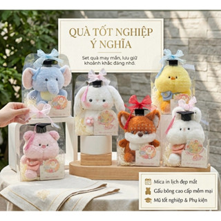 Set quà hộp mica tốt nghiệp - gấu bông đội mũ cử nhân quà tốt nghiệp ý nghĩ cho nam nữ