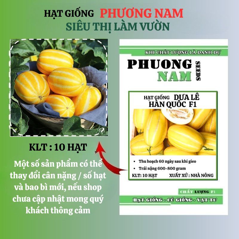 10 Hạt - Hạt Giống Dưa Lê Hàn Quốc Phương Nam