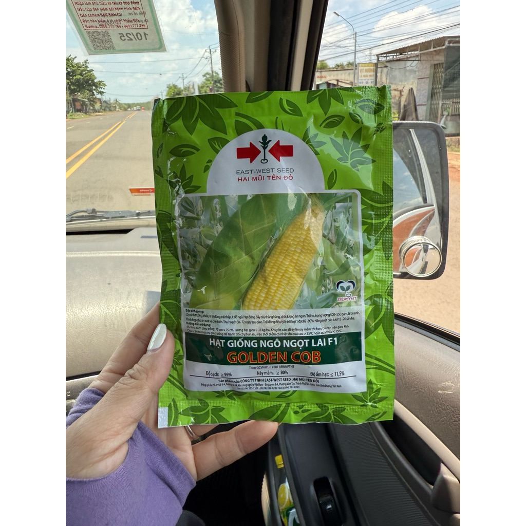 BẮP MỸ GOLDEN COB 2MT gói 50gram