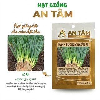 COMBO HẠT GIỐNG RAU GIA VỊ VIỆT 🌿 Hành – Hẹ – Húng Quế – Kinh Giới – Ngò Gai – Tía Tô túi zíp