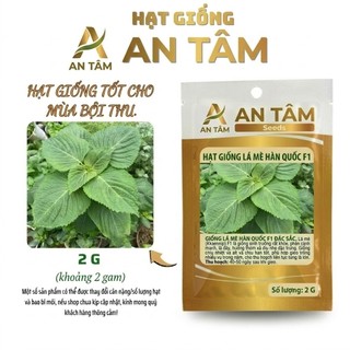 COMBO HẠT GIỐNG RAU GIA VỊ VIỆT 🌿 Hành – Hẹ – Húng Quế – Kinh Giới – Ngò Gai – Tía Tô túi zíp