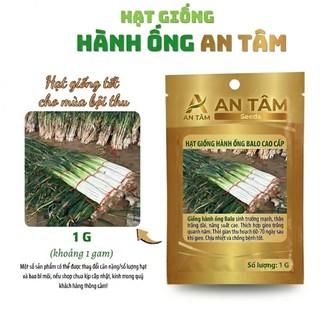 COMBO HẠT GIỐNG RAU GIA VỊ VIỆT 🌿 Hành – Hẹ – Húng Quế – Kinh Giới – Ngò Gai – Tía Tô túi zíp