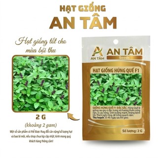 COMBO HẠT GIỐNG RAU GIA VỊ VIỆT 🌿 Hành – Hẹ – Húng Quế – Kinh Giới – Ngò Gai – Tía Tô túi zíp