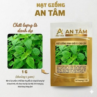 COMBO HẠT GIỐNG RAU GIA VỊ VIỆT 🌿 Hành – Hẹ – Húng Quế – Kinh Giới – Ngò Gai – Tía Tô túi zíp