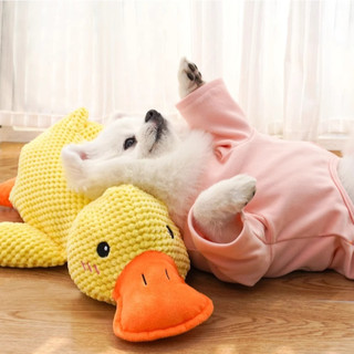 Đồ chơi con vịt bông chút chít cho chó mèo