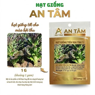 HẠT GIỐNG RAU XANH Mùa hè: Dền Cơm, CẢi mơ, Cải Ngồng,măng tây, xà lách.. – Mọc Mạnh, Nhiều Lá túi zíp