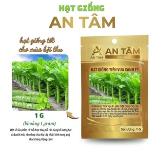 HẠT GIỐNG RAU XANH Mùa hè: Dền Cơm, CẢi mơ, Cải Ngồng,măng tây, xà lách.. – Mọc Mạnh, Nhiều Lá túi zíp