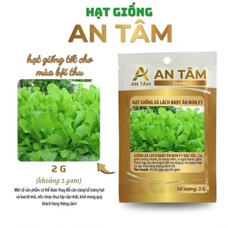 HẠT GIỐNG RAU XANH Mùa hè: Dền Cơm, CẢi mơ, Cải Ngồng,măng tây, xà lách.. – Mọc Mạnh, Nhiều Lá túi zíp