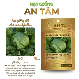 HẠT GIỐNG RAU XANH Mùa hè: Dền Cơm, CẢi mơ, Cải Ngồng,măng tây, xà lách.. – Mọc Mạnh, Nhiều Lá túi zíp