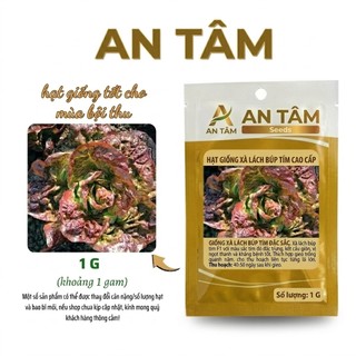 HẠT GIỐNG RAU XANH Mùa hè: Dền Cơm, CẢi mơ, Cải Ngồng,măng tây, xà lách.. – Mọc Mạnh, Nhiều Lá túi zíp