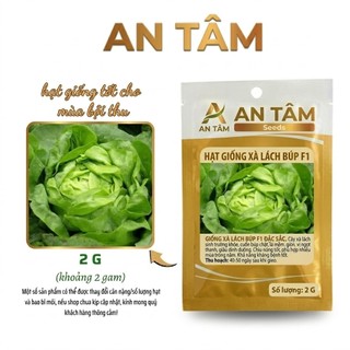 HẠT GIỐNG RAU XANH Mùa hè: Dền Cơm, CẢi mơ, Cải Ngồng,măng tây, xà lách.. – Mọc Mạnh, Nhiều Lá túi zíp