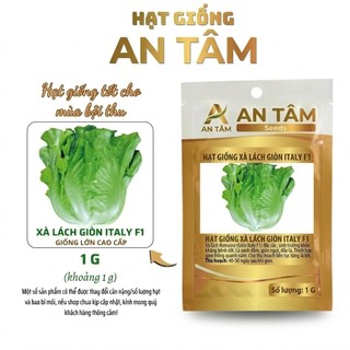 Hạt Giống Xà Lách xoăn xanh,xà lách chịu nhiệt,xà lách xoăn đỏ