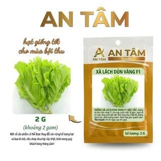Hạt Giống Xà Lách xoăn xanh,xà lách chịu nhiệt,xà lách xoăn đỏ