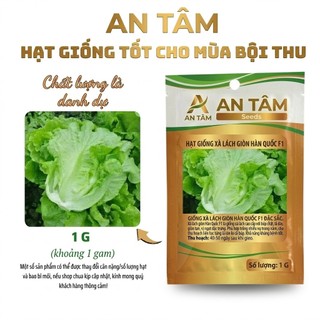 Hạt Giống Xà Lách xoăn xanh,xà lách chịu nhiệt,xà lách xoăn đỏ