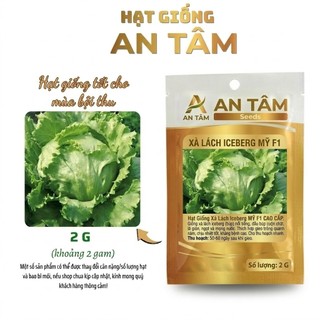 Hạt Giống Xà Lách xoăn xanh,xà lách chịu nhiệt,xà lách xoăn đỏ