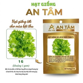 Hạt Giống Xà Lách xoăn xanh,xà lách chịu nhiệt,xà lách xoăn đỏ