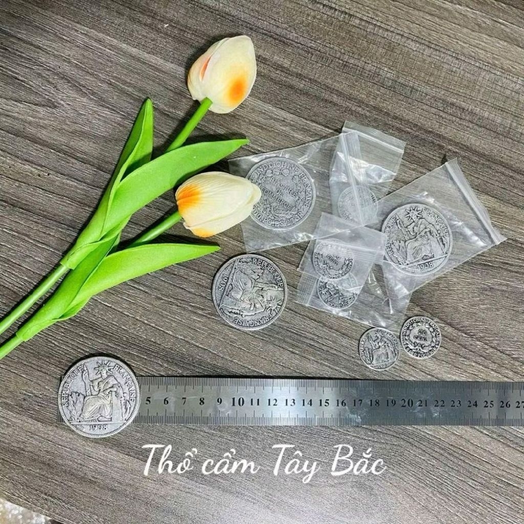 Đồng Xu Bạc Hoa Xoè bằng đồng Đông Dương Nghệ Thuật Kỉ Niệm 1937-1908 các năm các nước Anh Pháp Mỹ