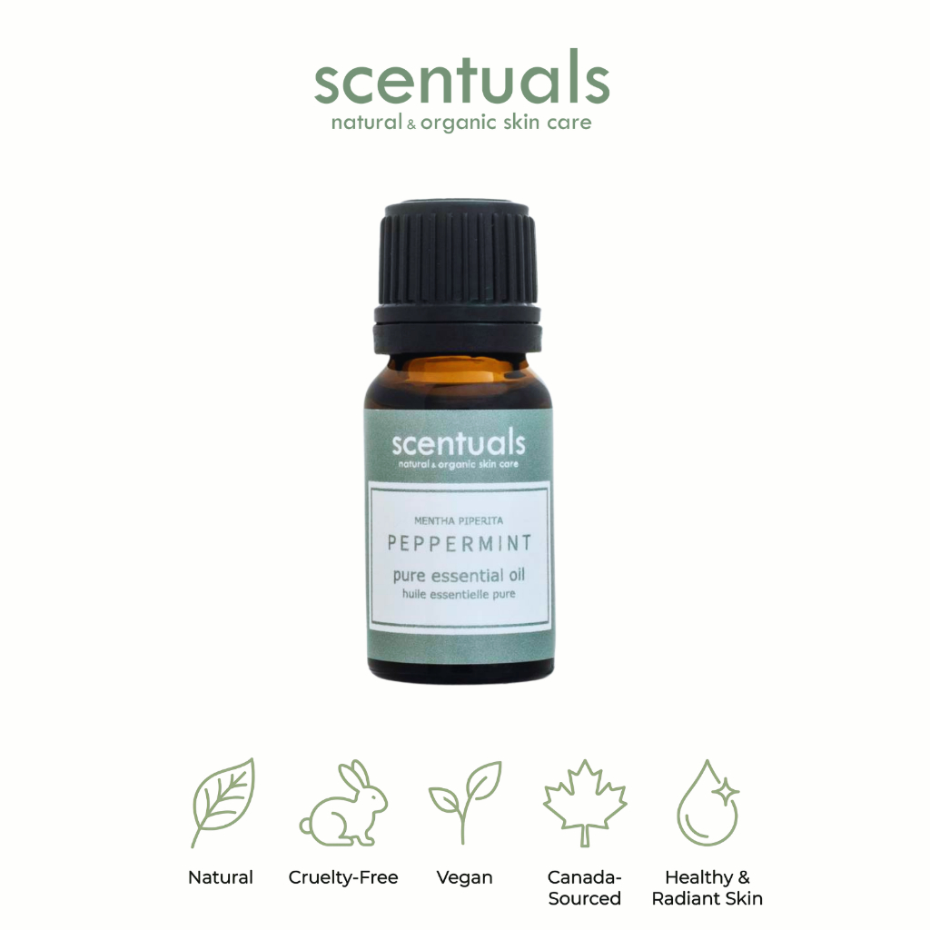 Tinh Dầu Bạc Hà Nguyên Chất Scentuals 10ml – Peppermint Essential Oil Giảm Đau Đầu, Thư Giãn