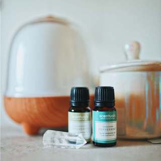 Tinh Dầu Bạc Hà Nguyên Chất Scentuals 10ml – Peppermint Essential Oil Giảm Đau Đầu, Thư Giãn