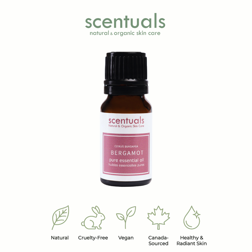 Tinh Dầu Cam Bergamot Nguyên Chất Scentuals 10ml – Bergamot FCF Essential Oil Giảm Stress, Thư Giãn