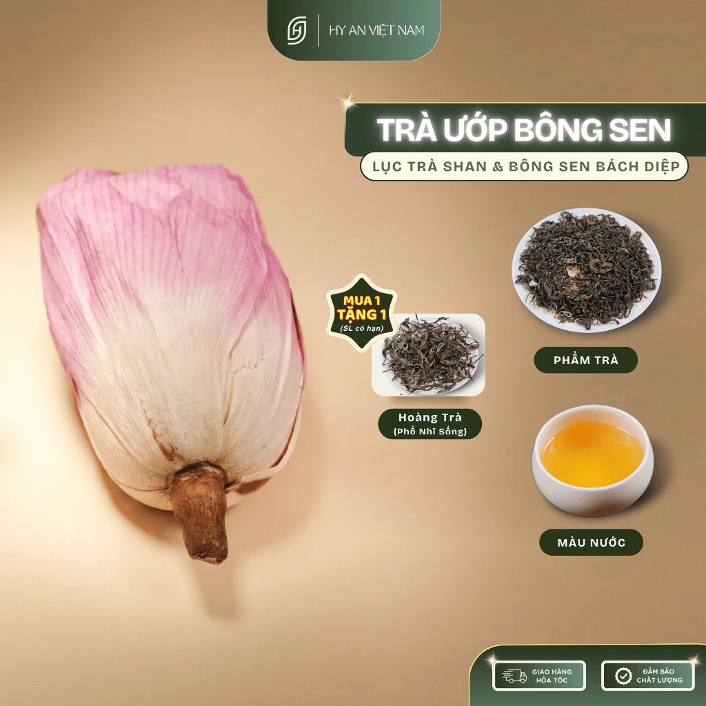 [Hy An]- Trà ướp bông sen Tây Hồ thượng hạng (bông lẻ sấy thăng hoa)- Nước Trà thơm ngon Hy An Tea