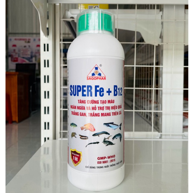 SUPER Fe+B12 1L - TẠO MÁU, HỖ TRỢ TRỊ TRẮNG GAN