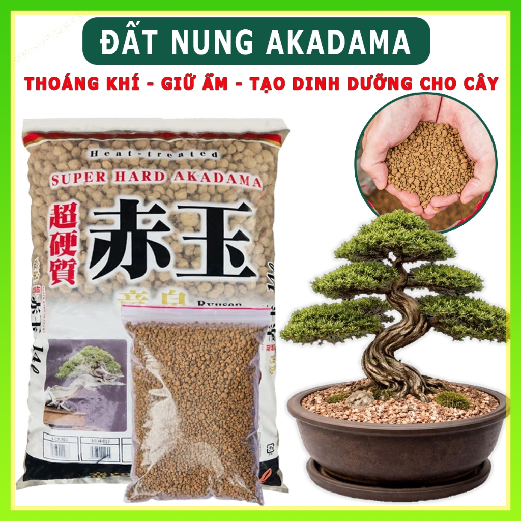 Đất nung Akadama trồng cây cảnh bonsai, sen đá, hoa, đất nền thủy sinh
