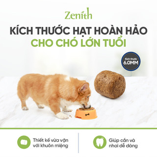 Hạt Mềm Cho Chó Già Zenith Senior