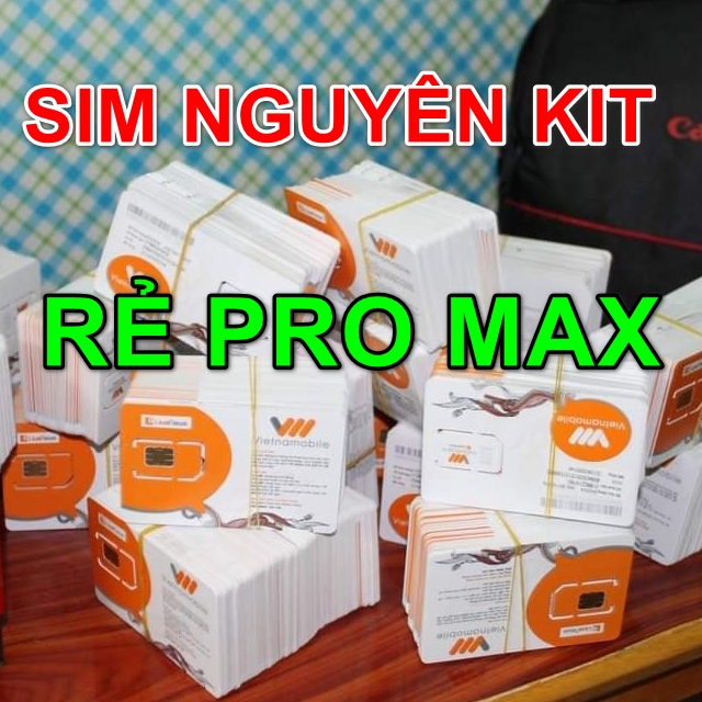 Kho Sim Vietnamobile Nhận Mã OTP