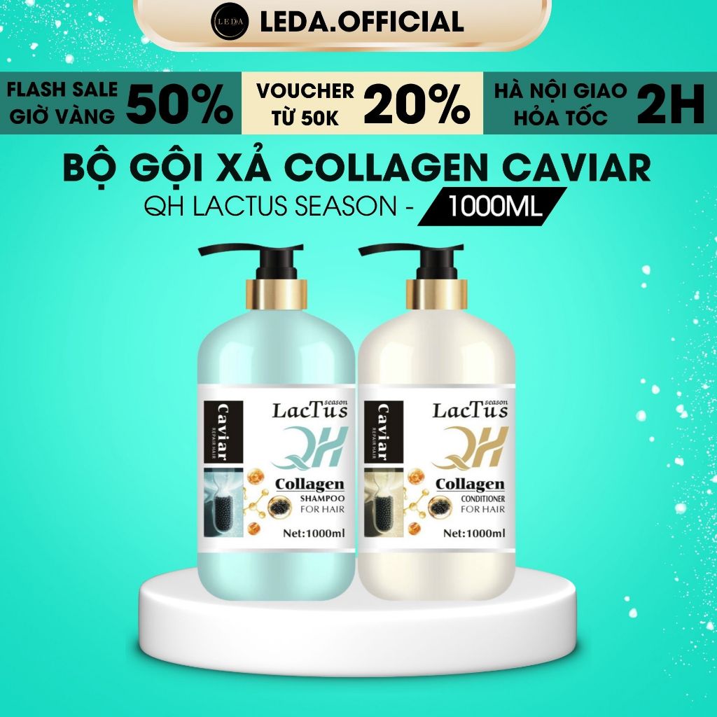 Dầu gội QH lactus season collagen caviar trứng cá tầm, ngăn gàu, bết, giảm rụng tóc giữ màu 1000ML