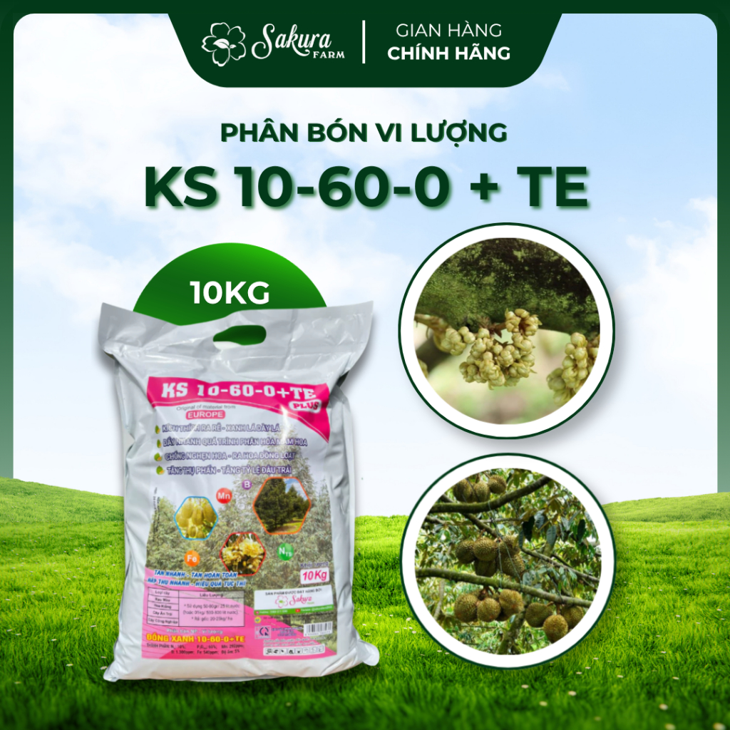 Phân Bón Vi Lượng KS 10-60-0 + TE