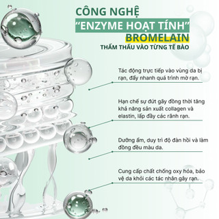 Combo Kem Rạn Da Và Serum Actiscar Stretch Làm Mờ Rạn Do Mang Thai, Dậy Thì, Tăng Cân, Cấp Ẩm Cho Da