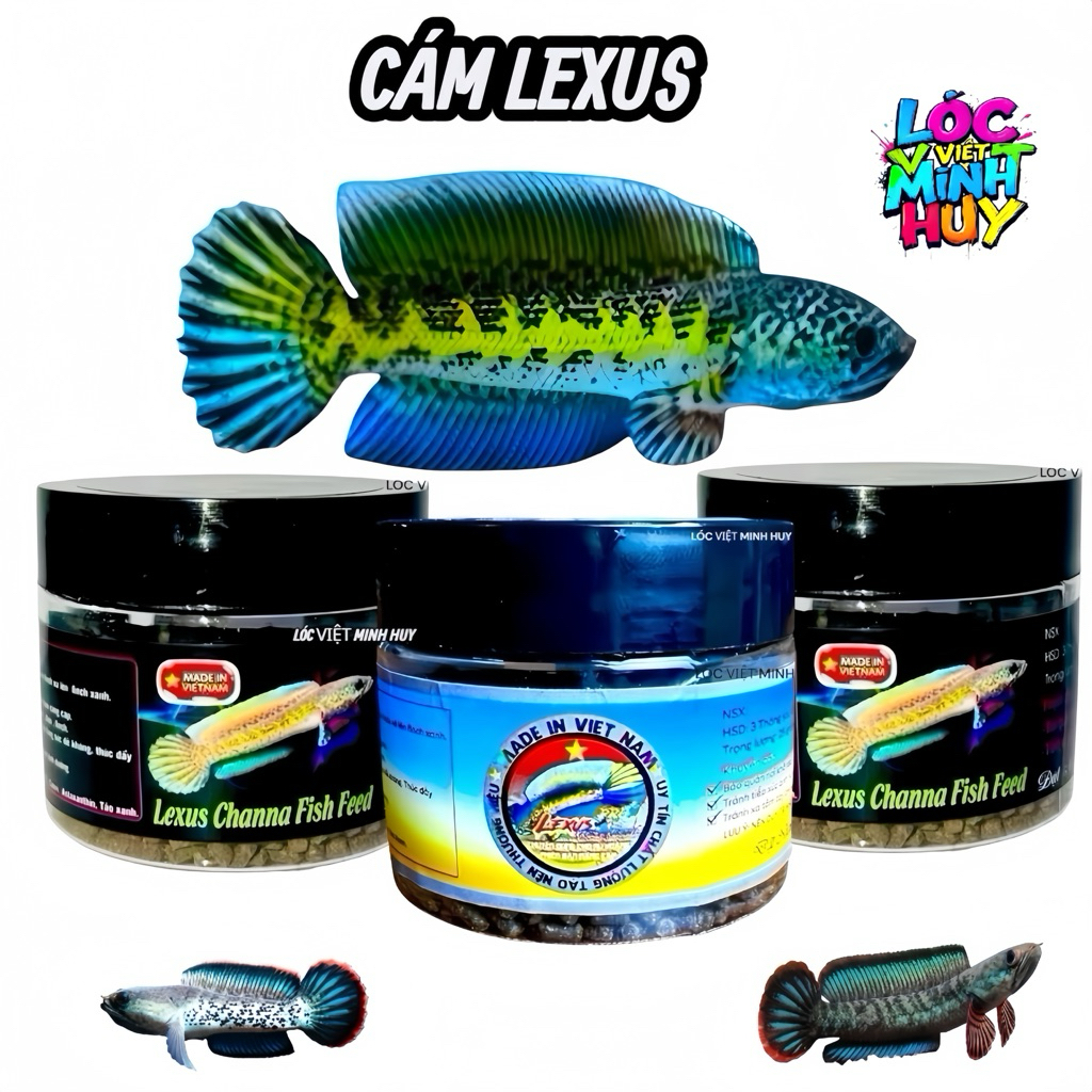 Cám lexus channa fish feed-Lexus for Auranti cám cao cấp cho nữ hoàng và cho lóc lạnh khung xương,na