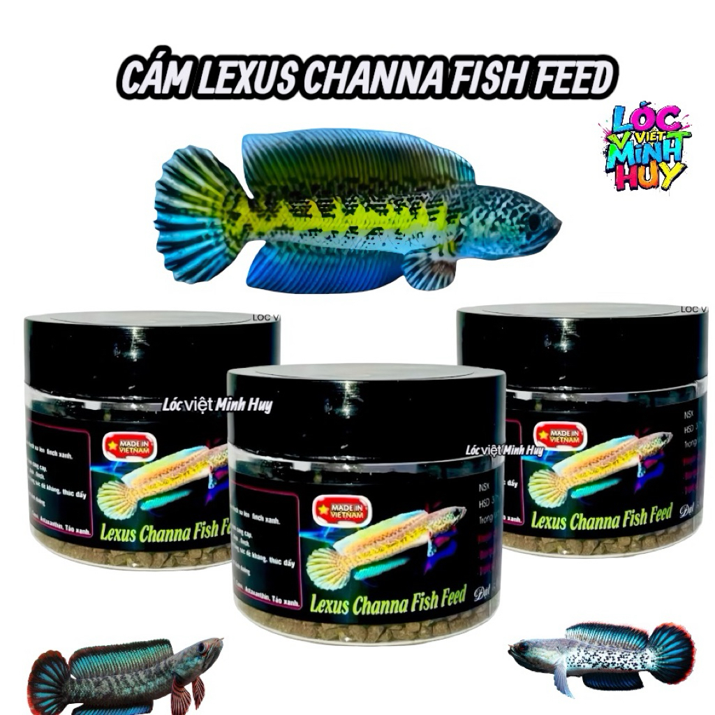 Cám lexus channa fish feed  cám cao cấp cho nữ hoàng và cho lóc lạnh