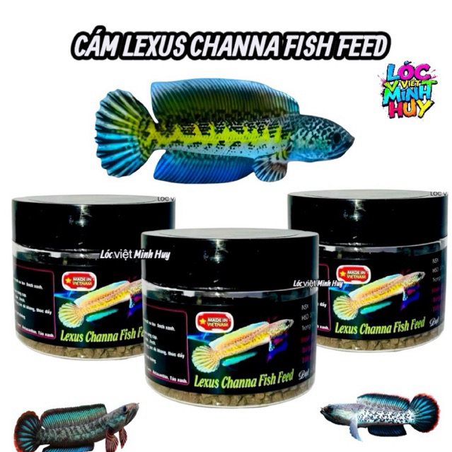 Cám lexus channa fish feed  cám cao cấp cho lóc lạnh,Nữ hoàng,THĐ ,Andrao,PHDV,Bluebengal,ngũ sắc ,l