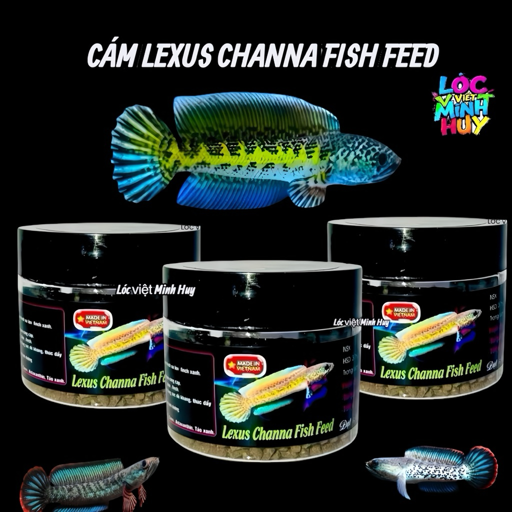 Cám lexus channa fish feed - cám cao cấp cho nữ hoàng và cho lóc lạnh,khung xương,nan kỳ finch cao m