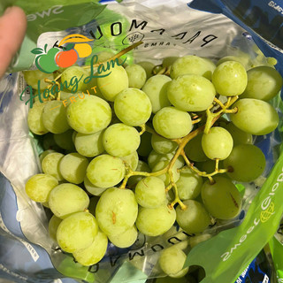 [Hoả Tốc HCM] Nho Xanh Úc Không Hạt – Giòn Ngọt Đậm, Hàng Cont Mới – 1Kg