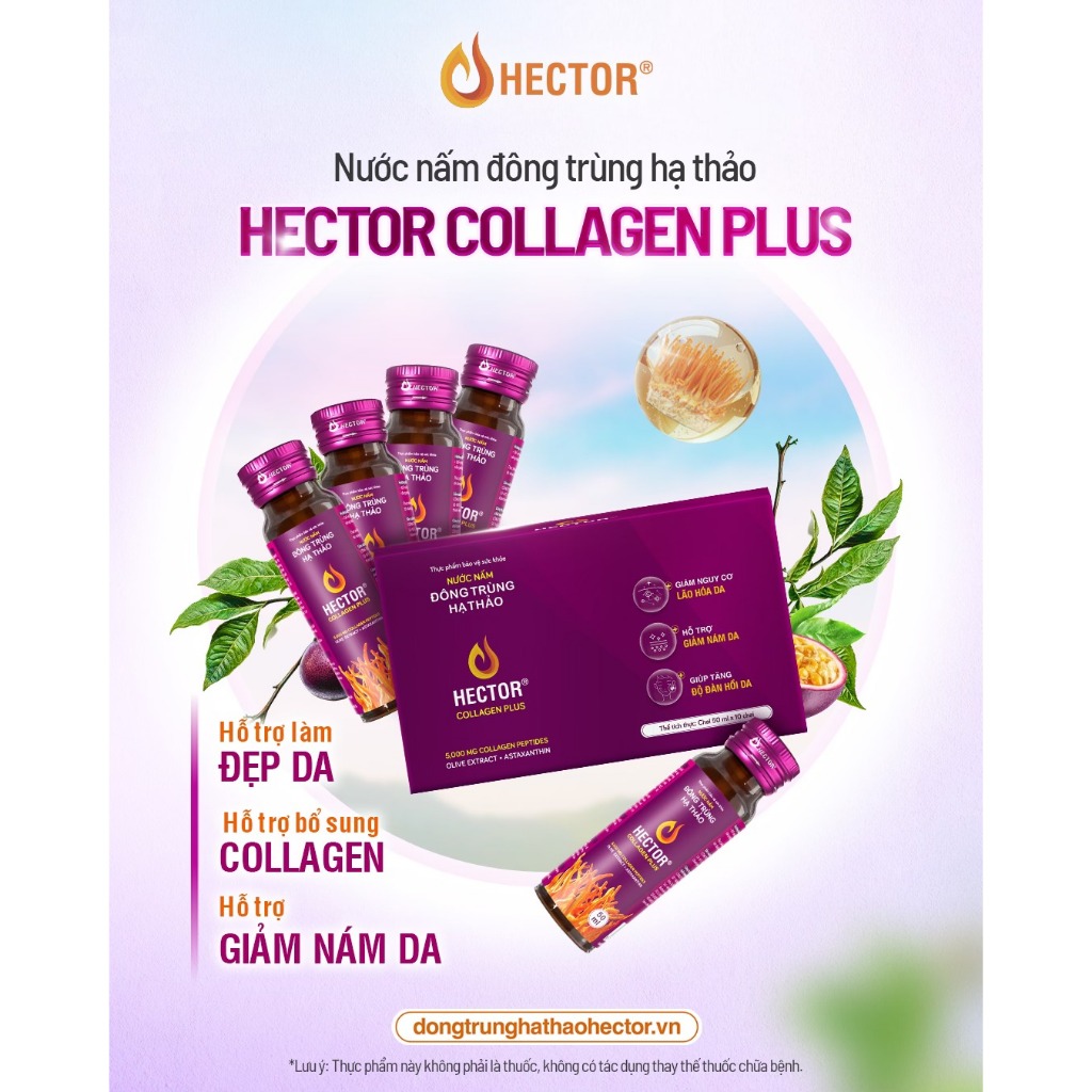 (TẶNG 1 GÓI HECTOR ) Nước Nấm Đông Trùng Hạ Thảo Hector Collagen Plus (hộp 10 chai)