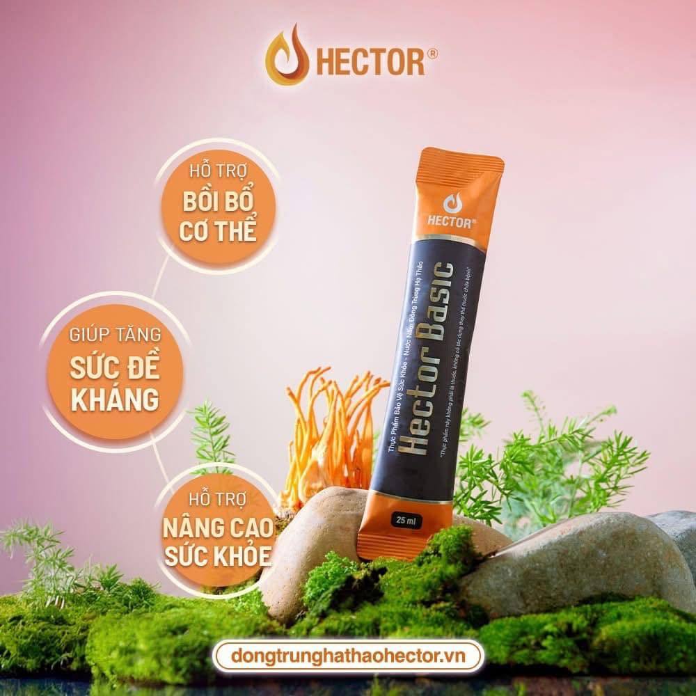 Nước nấm Đông trùng hạ thảo Hector Basic (10 gói x 25ml)- CHÍNH HÃNG