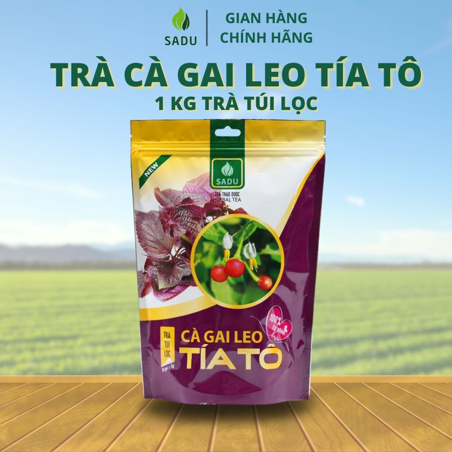 [DEAL 1KG] Trà túi lọc cà gai leo tía tô Sadu giúp thanh nhiệt giải độc, mát gan, thanh lọc cơ thể, 