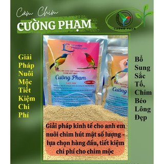 500g (Bột vào cám) Cám Hút Mật Mộc
