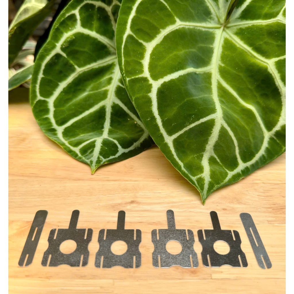 Bộ kẽm hàn cell pin 5S-2P , size 0.18mm. BN.