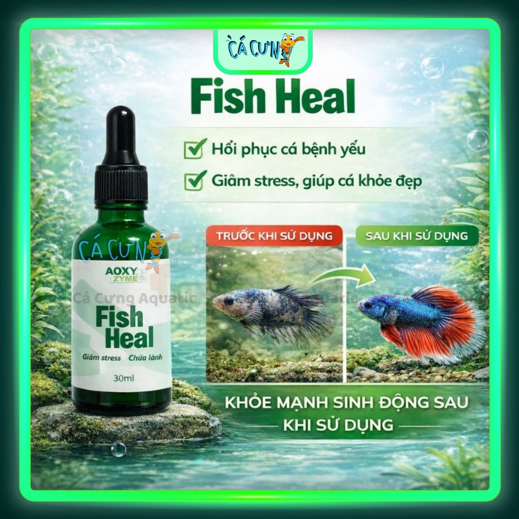 Vitamin Fish Heal Aoxyzyme Giảm Stress Cá, Chữa Lành Vết Thương, Tăng Miễn Dịch Tự Nhiên Cho Cá