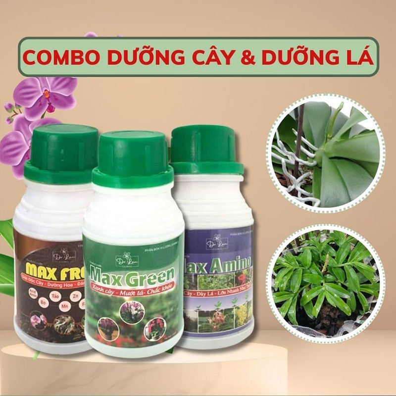 Combo Dưỡng Cây Và Dưỡng Lá Cho Lan (Max Fresh, Max Green, Max Amino)