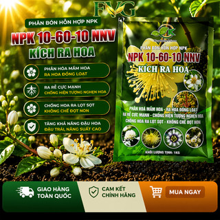 🌸 Phân Bón Kích Ra Hoa NPK 10-60-10 NNV – Kích Mầm Hoa – Ra Hoa Đồng Loạt – Ngăn Nghẹn Hoa – Túi 1kg